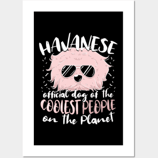 Havanese Tshirt cool cuban bichon dog Posters and Art